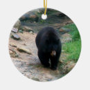 Search for black bear christmas tree decorations Nature