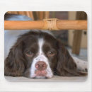 Search for springers mousepads English