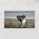 Search for pointers business cards German shorthaired pointer
