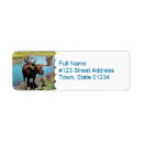 Search for moose return address labels Wildlife
