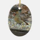 Search for red cardinal bird christmas tree decorations Animal