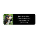 Search for black and tan return address labels Animal
