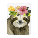 Search for sloth magnets Watercolor