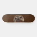 Search for drawing skateboards Animal