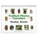 Search for gundog Labrador retriever