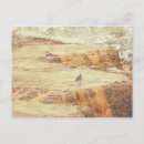 Search for plover postcards Wildlife