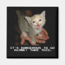 Search for alone magnets Kitten