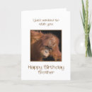 Search for orangutan birthday cards Primate