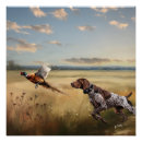 Search for german shorthaired pointer posters Gsp