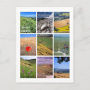 Search for downs postcards National park