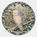 Search for snowy owl stickers Winter