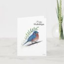 Search for bluebird of happiness cards Watercolor