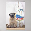 Search for pet pug art Beach