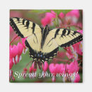 Search for bird watcher magnets Birding