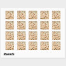 Search for amphibians stickers Shells