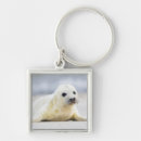 Search for baby seal key rings Cute