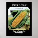 Search for sweet corn art Vintage