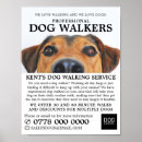 Search for walking to school posters Dog walker