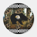 Search for black bear magnets Wilderness