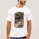 Search for canadian rockies tshirts Banff national park