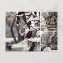 Search for hiver Winter