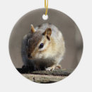 Search for chipmunk christmas tree decorations Wildlife