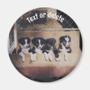 Search for litter magnets Dog