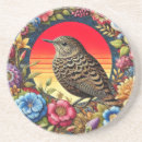 Search for bird coasters Illustration