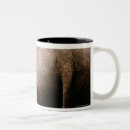 Search for asian elephant mugs Animal