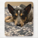 Search for heeler mousepads Australian cattle dog