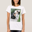 Search for calico kitten clothing Cat