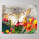 Search for white peacock posters Butterfly
