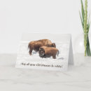 Search for wild animal christmas cards Winter