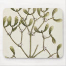 Search for herbal electronics Plant