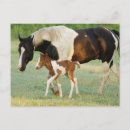 Search for filly postcards Baby