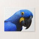 Search for parrots puzzles Portrait