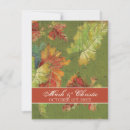 Search for grape leaf Vineyard