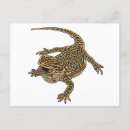 Search for bearded dragon postcards Beardie