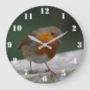 Search for robin clocks Nature