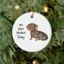 Search for weiner dog christmas tree decorations Dachshund