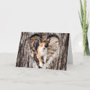 Search for heart frame cards Rustic