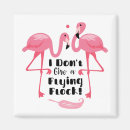 Search for flocking square magnets Pink flamingo