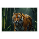 Search for bamboo posters Wildlife