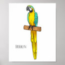 Search for ara posters Macaw