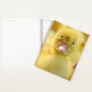 Search for cutest office supplies Bird