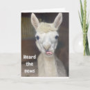 Search for wide eyed postcards Birthday