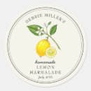 Search for lemon fruit stickers Watercolor