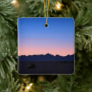 Search for roofing christmas tree decorations Blue
