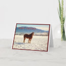 Search for belgium cards Landscape