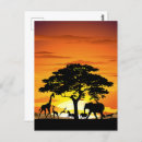 Search for african tree postcards Wildlife